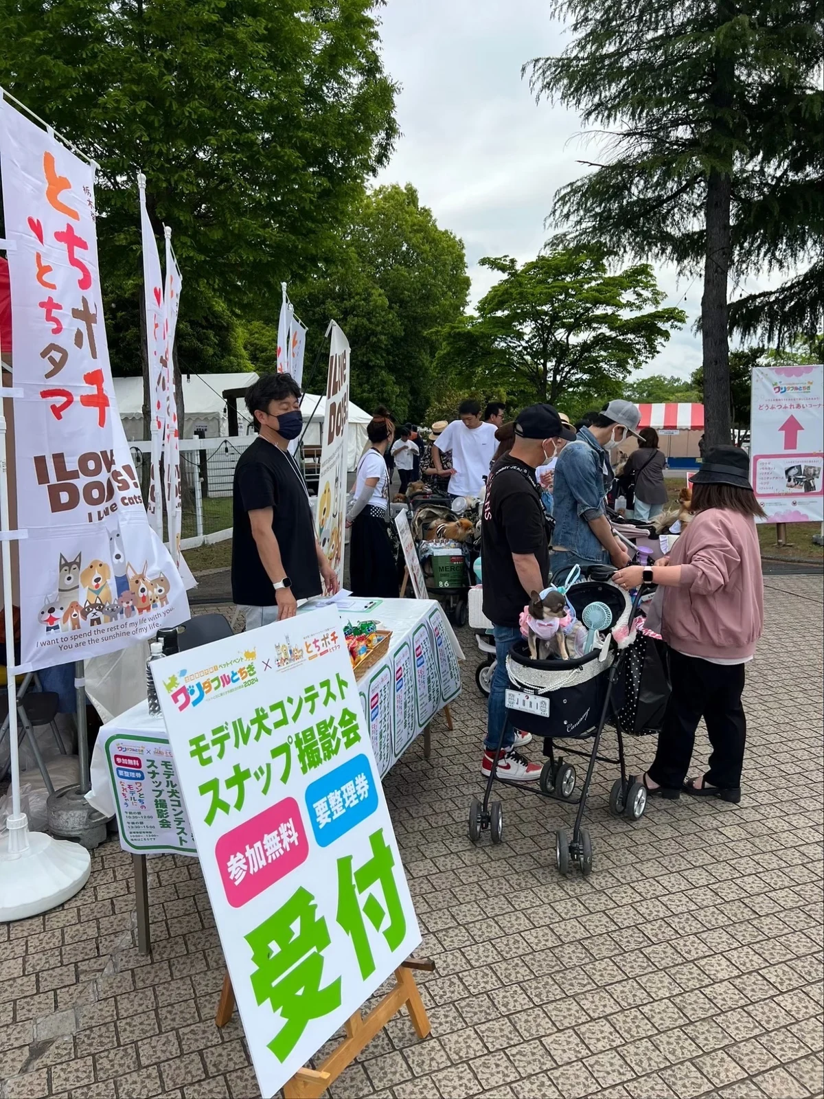 ワンダフルとちぎの模様 5