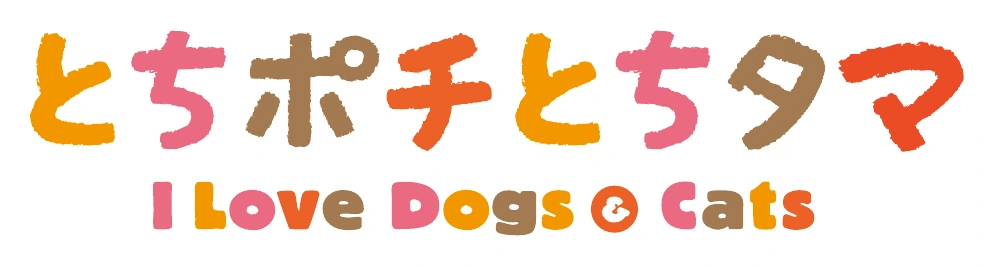 とちポチとちタマ撮影会